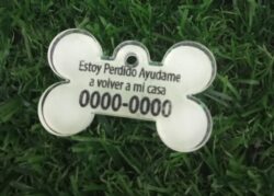 Plaquita de Acrilico en Forma de Huesito - Image 2